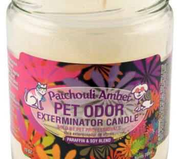 Pet Odor Exterminator Candle Patchouli Amber 13 oz