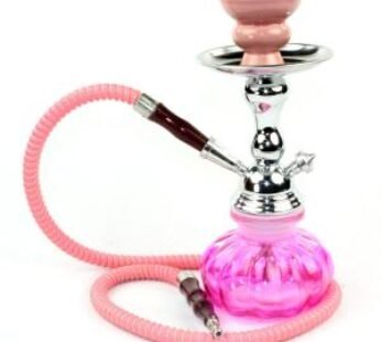 Zebra Smoke Genie 1 Hose Hookah Pink